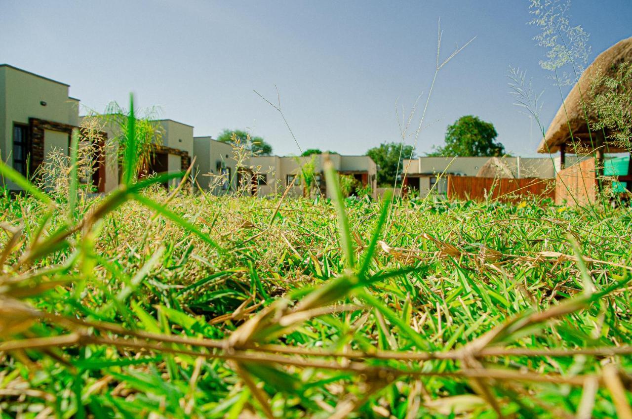 Nexovant Furnished Apartments Maun Extérieur photo