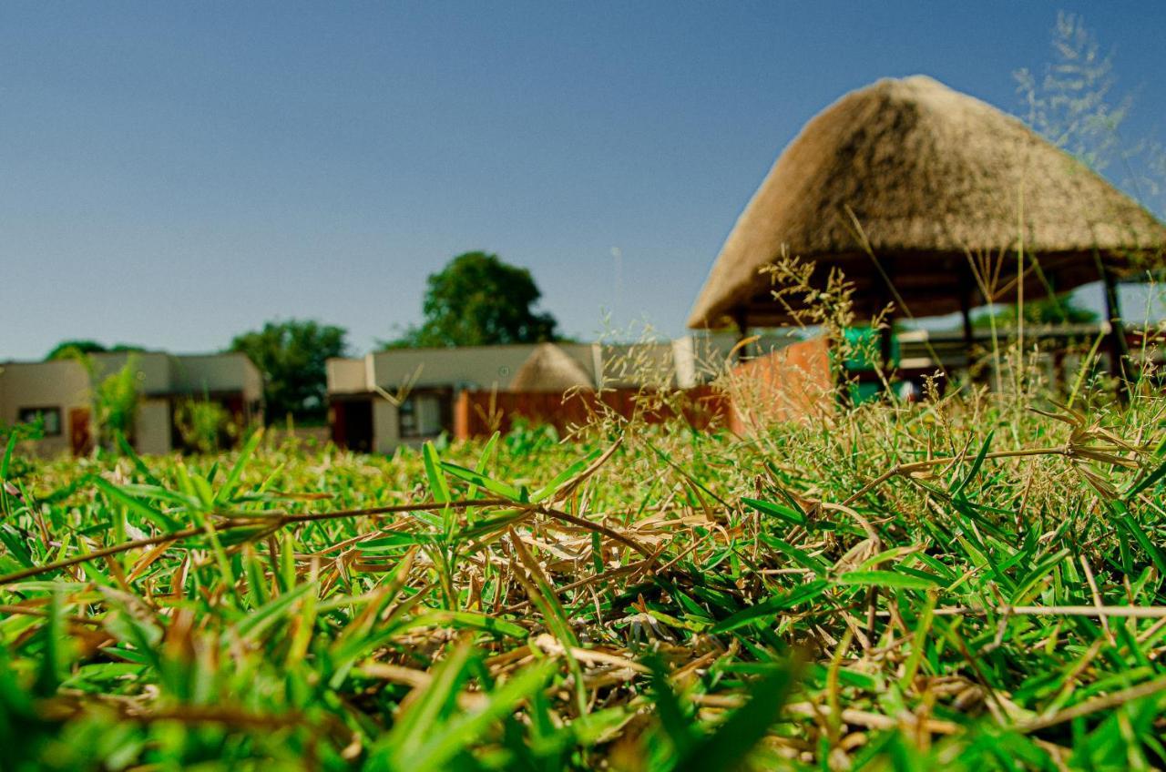 Nexovant Furnished Apartments Maun Extérieur photo